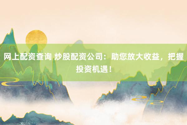 网上配资查询 炒股配资公司：助您放大收益，把握投资机遇！