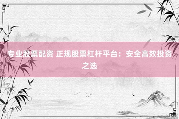 专业股票配资 正规股票杠杆平台：安全高效投资之选