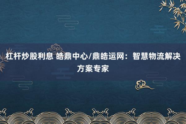 杠杆炒股利息 皓鼎中心/鼎皓运网：智慧物流解决方案专家