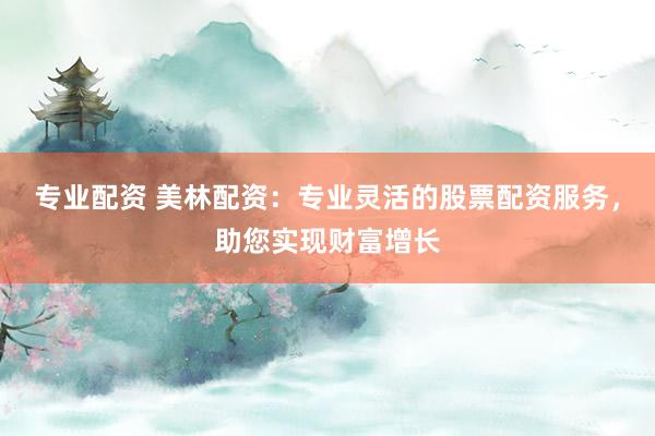 专业配资 美林配资：专业灵活的股票配资服务，助您实现财富增长