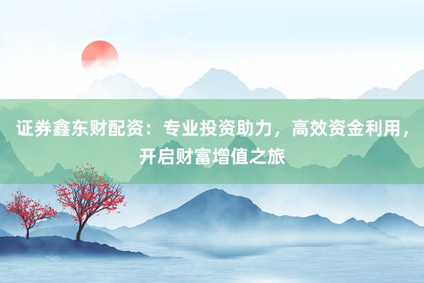 证券鑫东财配资：专业投资助力，高效资金利用，开启财富增值之旅