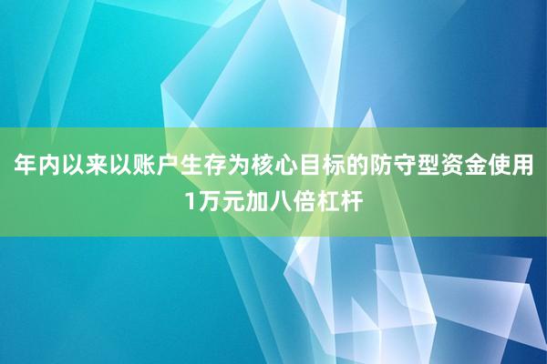 年内以来以账户生存为核心目标的防守型资金使用1万元加八倍杠杆