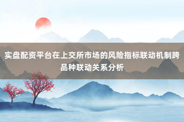 实盘配资平台在上交所市场的风险指标联动机制跨品种联动关系分析
