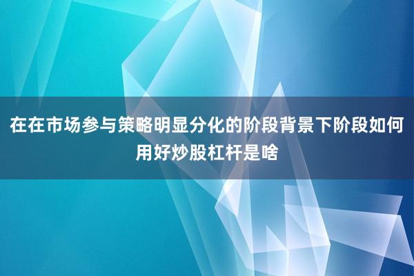 在在市场参与策略明显分化的阶段背景下阶段如何用好炒股杠杆是啥