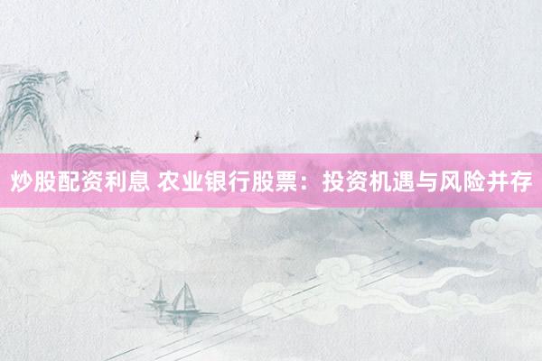 炒股配资利息 农业银行股票：投资机遇与风险并存